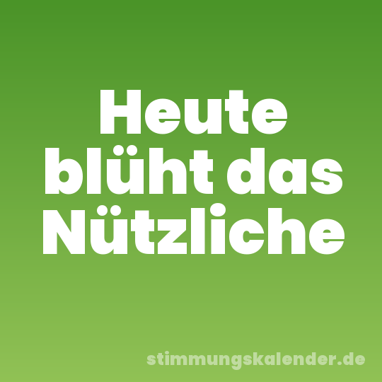 Heute blüht das Nützliche