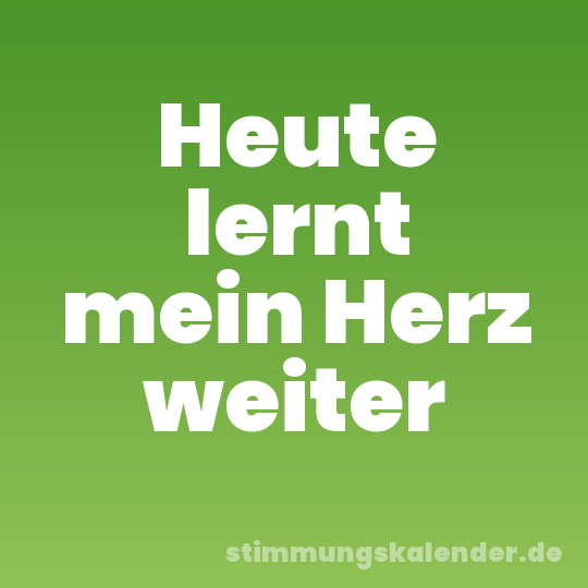 Heute lernt mein Herz weiter