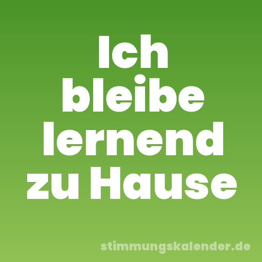 Ich bleibe lernend zu Hause