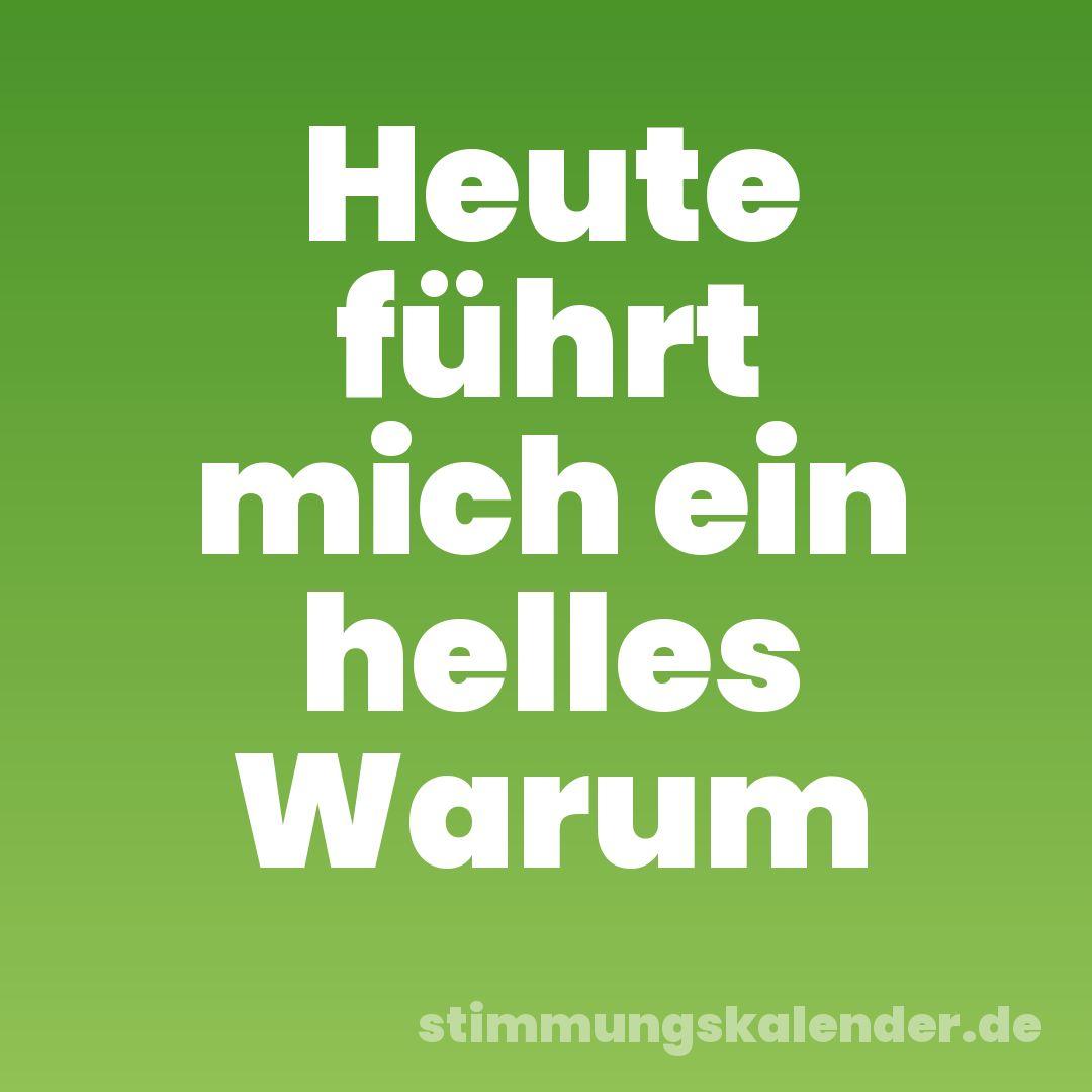 Heute führt mich ein helles Warum