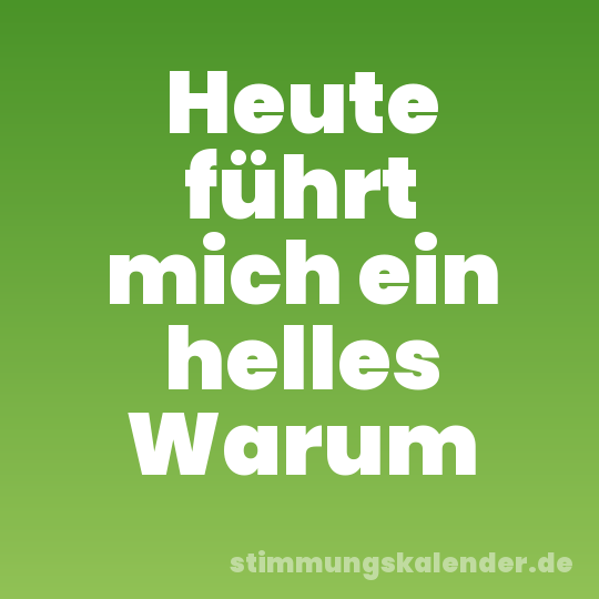Heute führt mich ein helles Warum