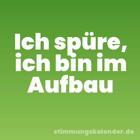 Ich spüre, ich bin im Aufbau