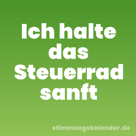Ich halte das Steuerrad sanft