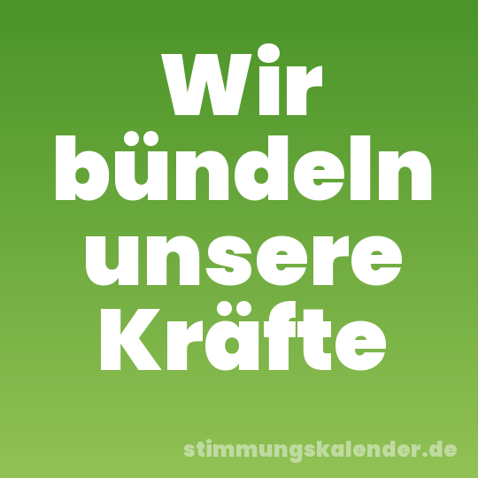 Wir bündeln unsere Kräfte