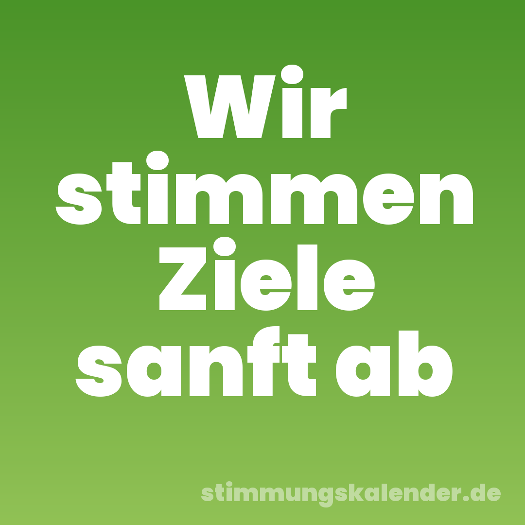 Wir stimmen Ziele sanft ab