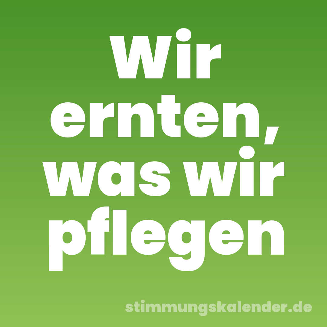 Wir ernten, was wir pflegen