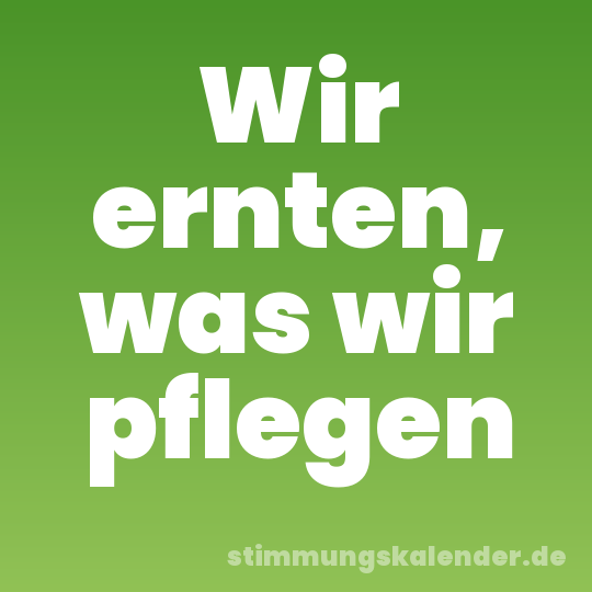 Wir ernten, was wir pflegen