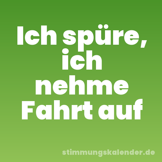 Ich spüre, ich nehme Fahrt auf
