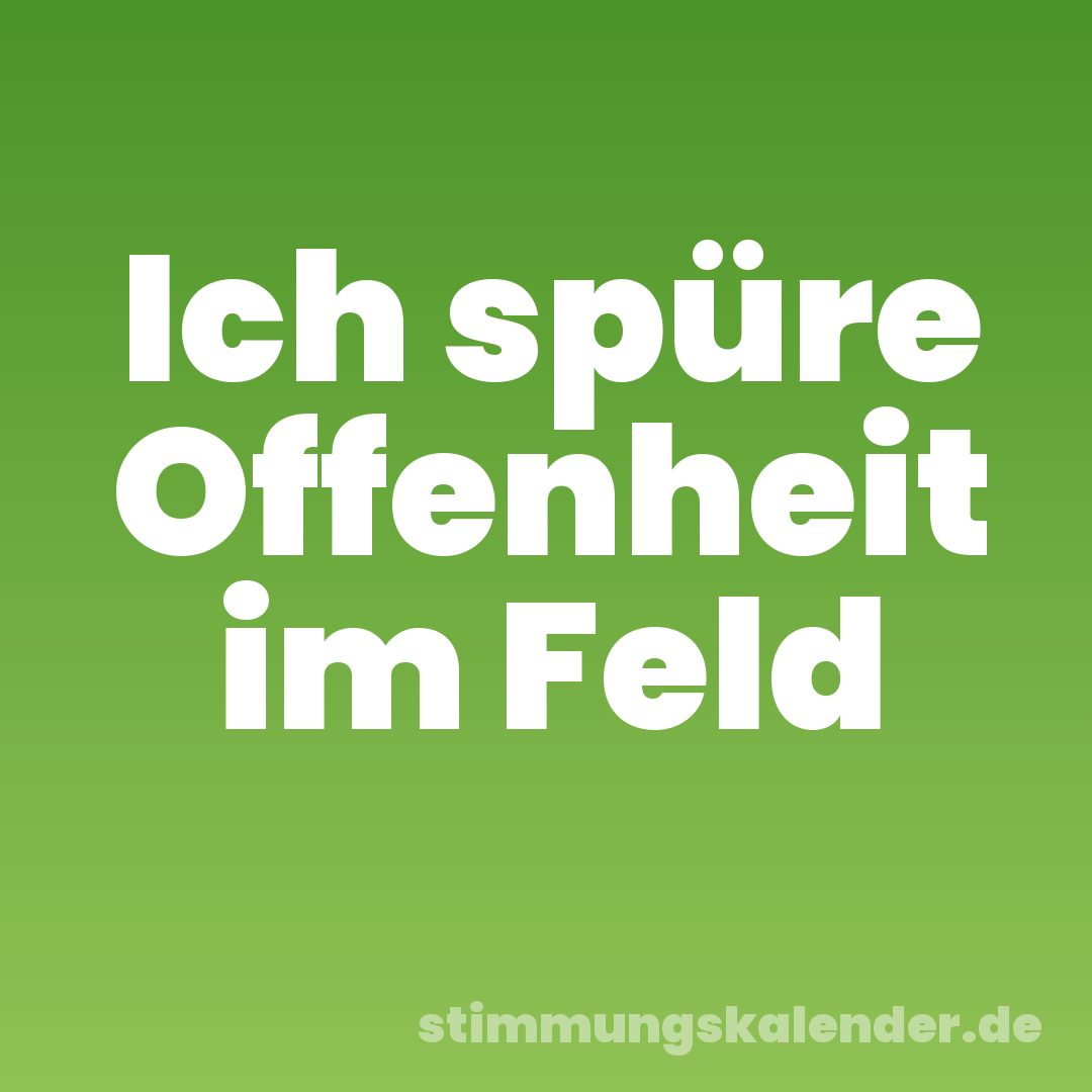 Ich spüre Offenheit im Feld