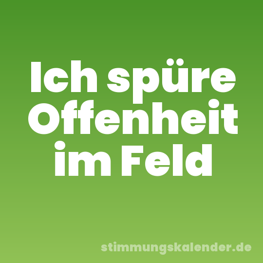 Ich spüre Offenheit im Feld