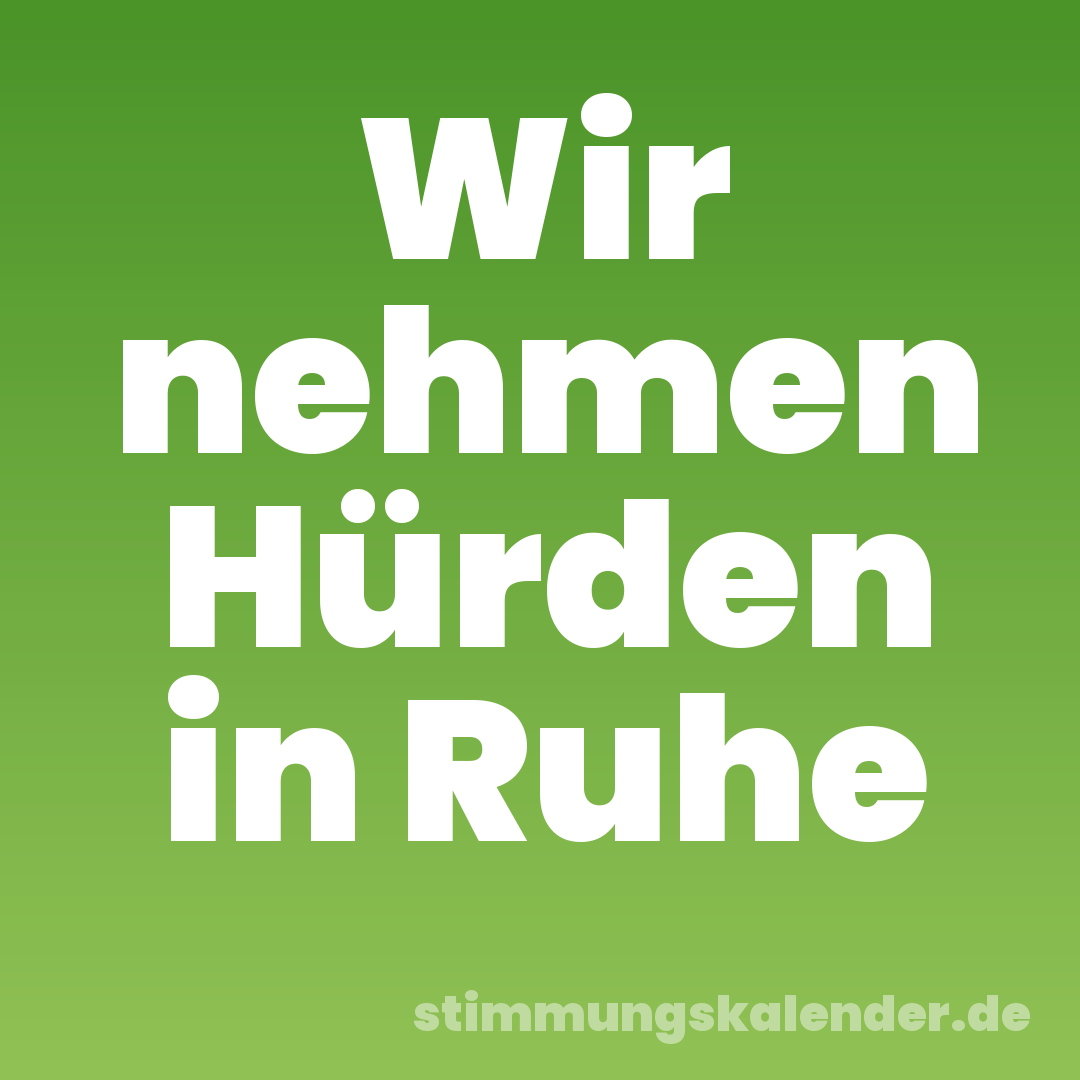 Wir nehmen Hürden in Ruhe