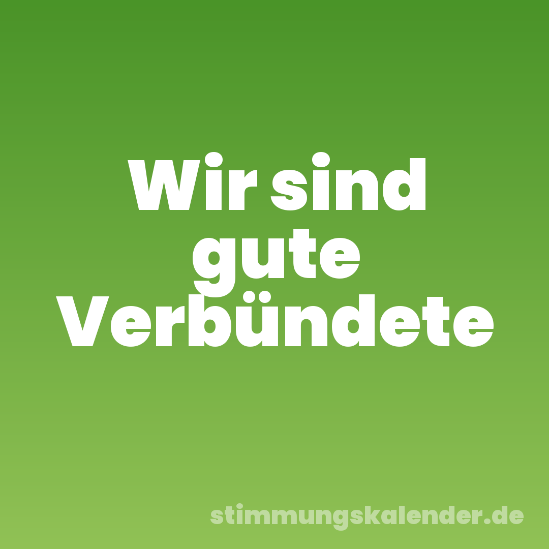 Wir sind gute Verbündete