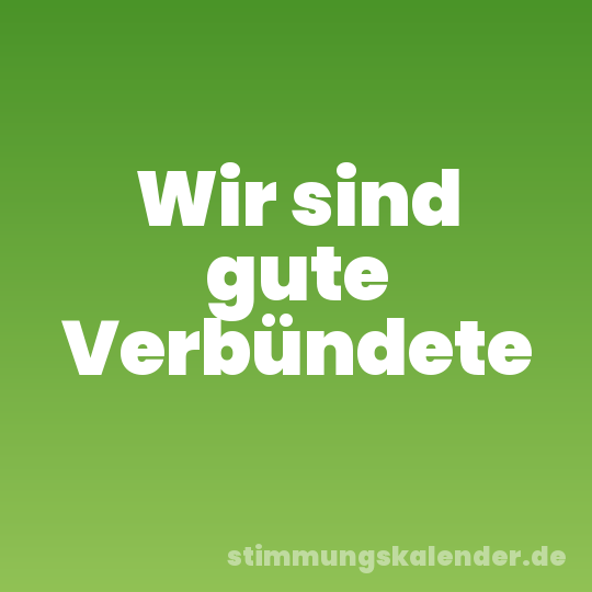 Wir sind gute Verbündete