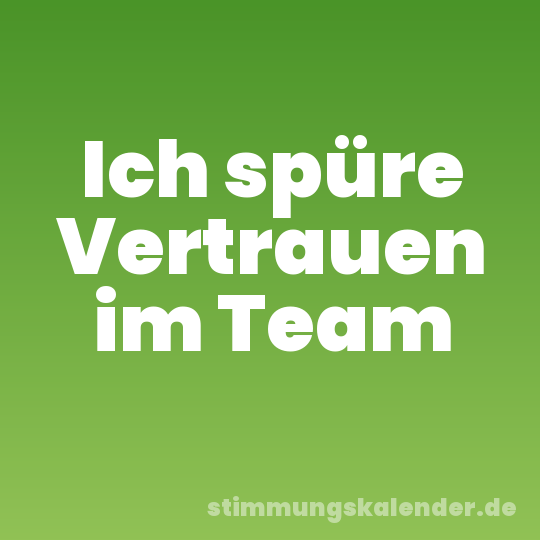 Ich spüre Vertrauen im Team