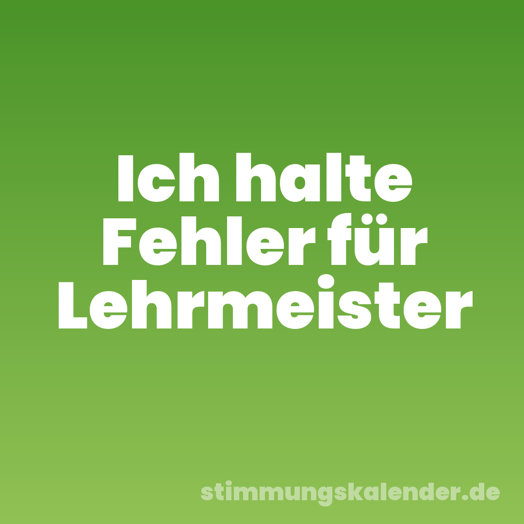 Ich halte Fehler für Lehrmeister