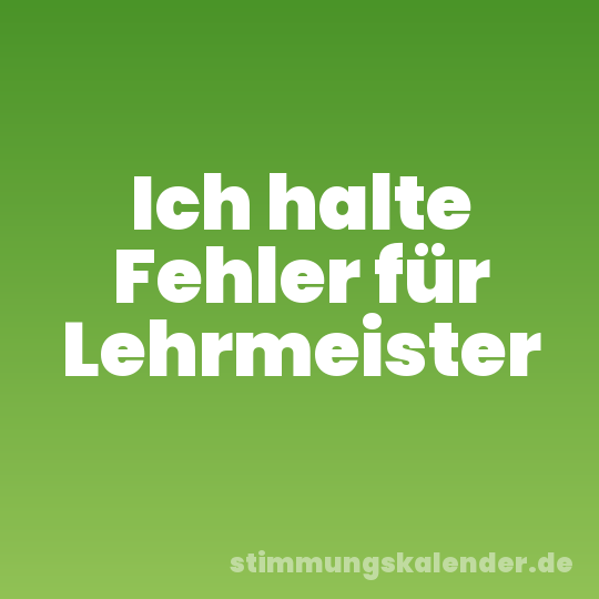 Ich halte Fehler für Lehrmeister