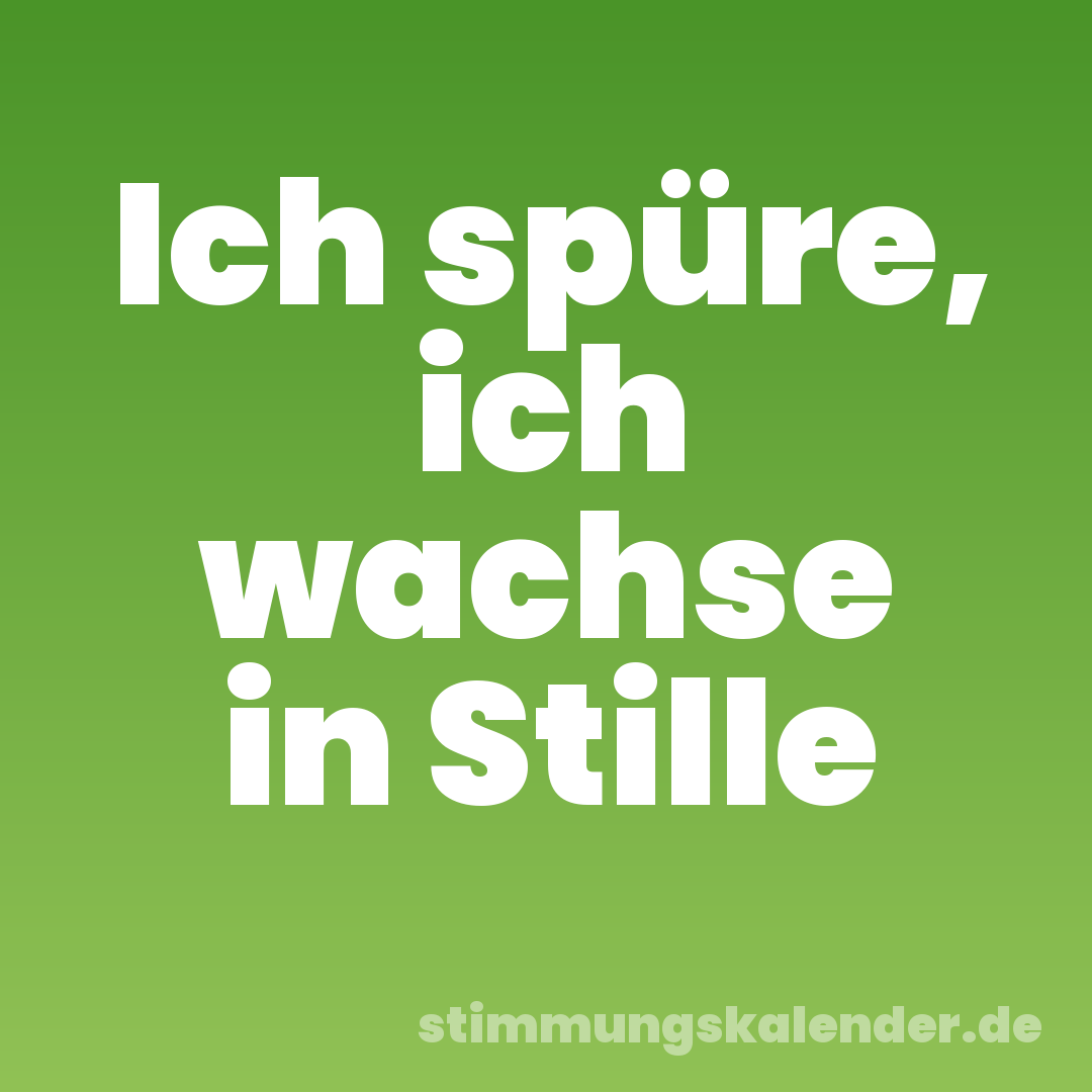 Ich spüre, ich wachse in Stille