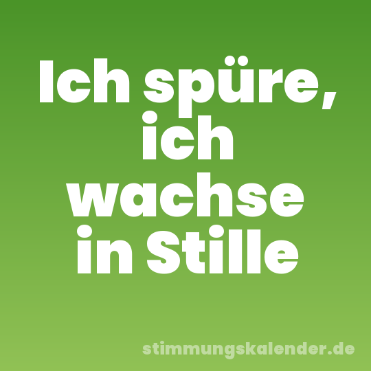 Ich spüre, ich wachse in Stille