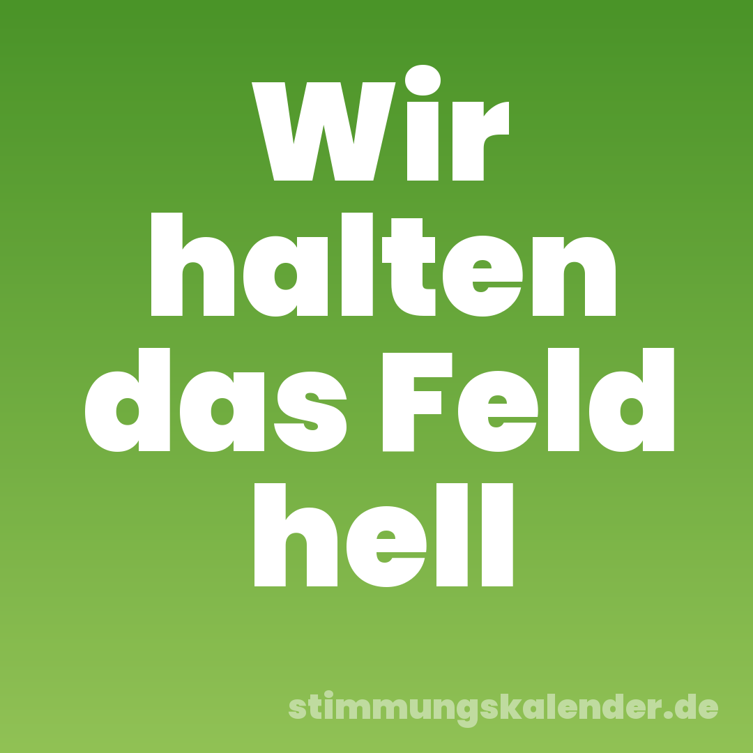 Wir halten das Feld hell