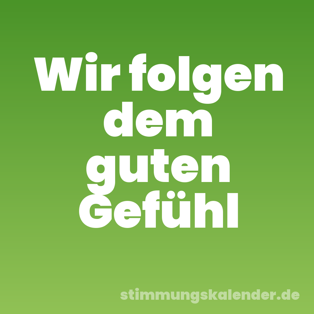 Wir folgen dem guten Gefühl