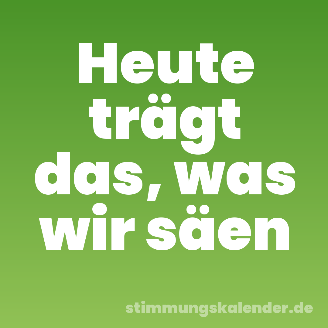 Heute trägt das, was wir säen