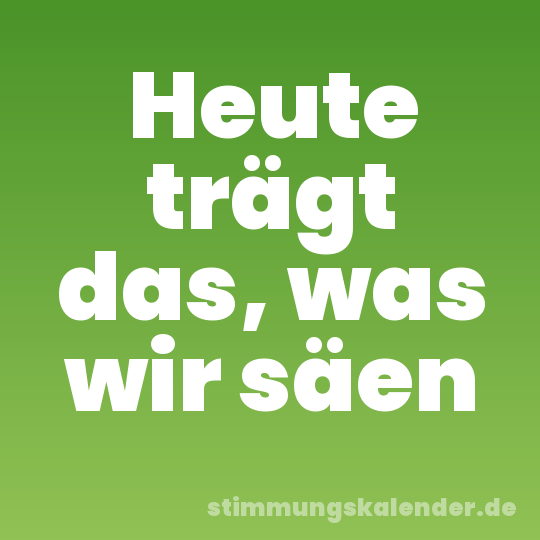 Heute trägt das, was wir säen