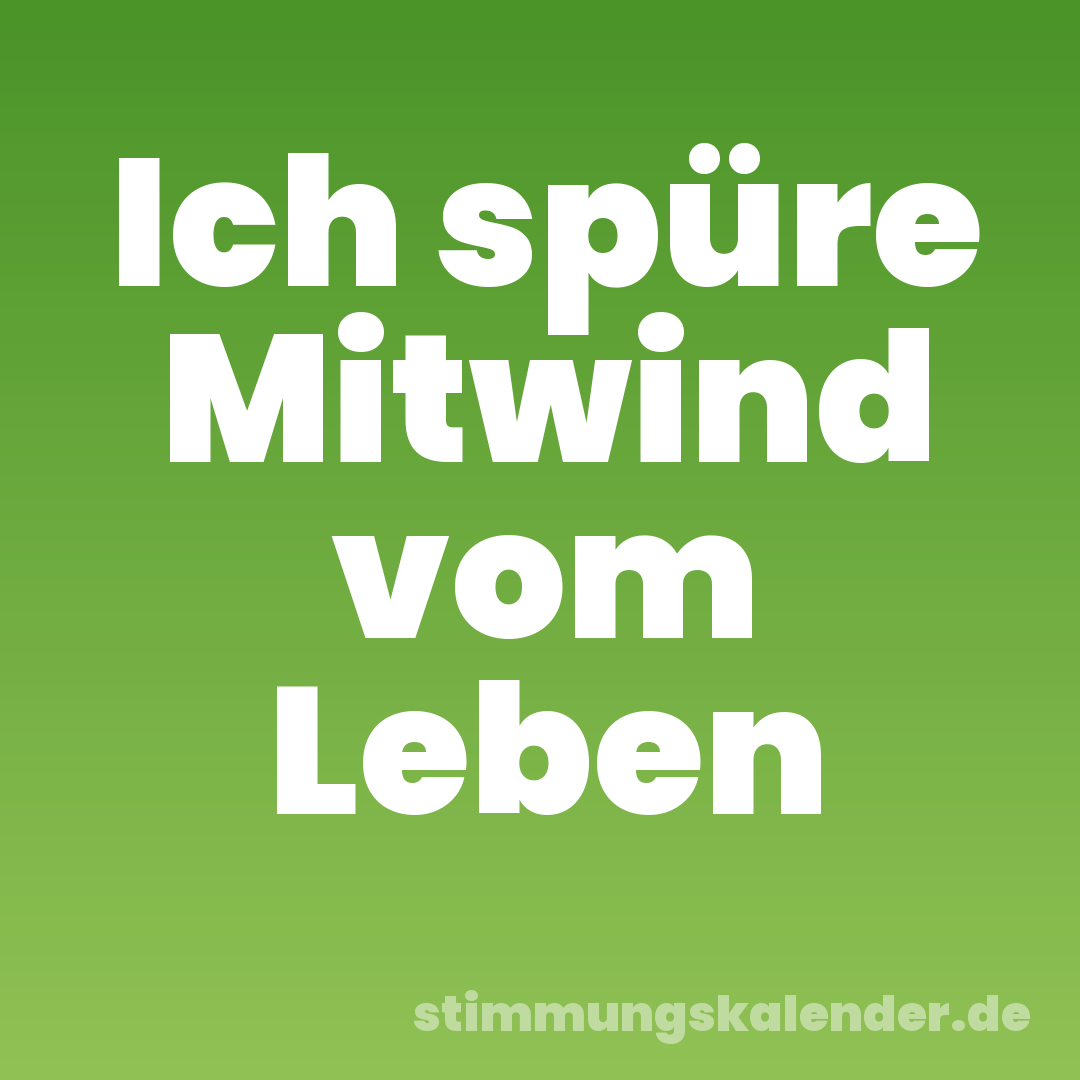 Ich spüre Mitwind vom Leben