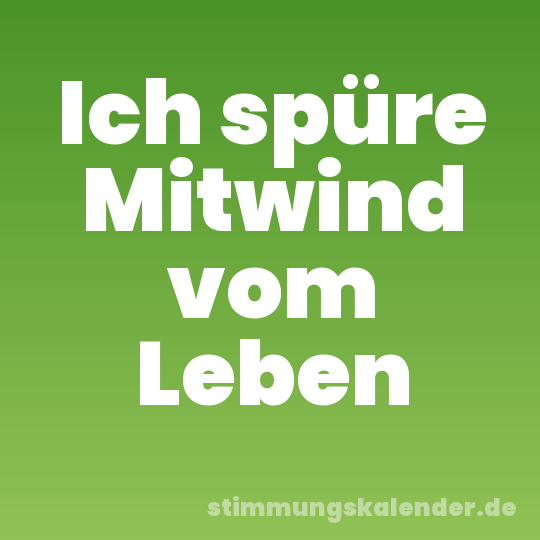 Ich spüre Mitwind vom Leben