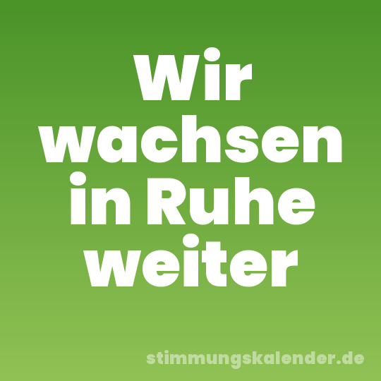 Wir wachsen in Ruhe weiter