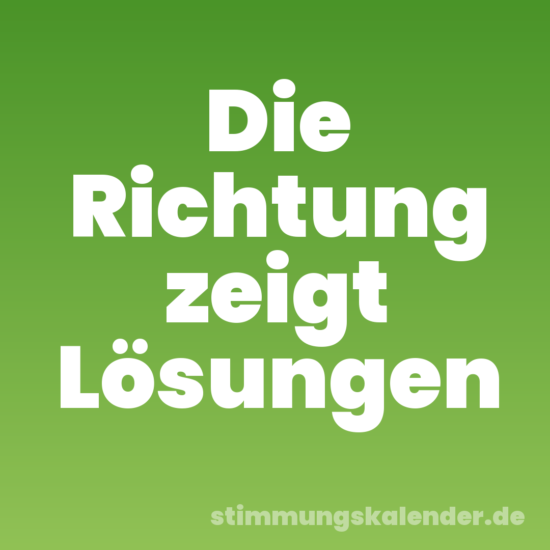 Die Richtung zeigt Lösungen