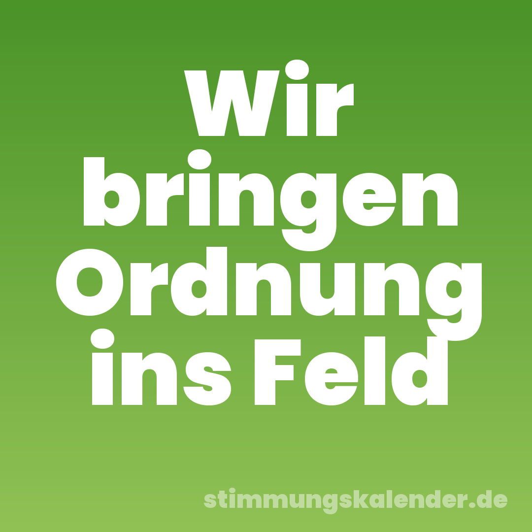 Wir bringen Ordnung ins Feld