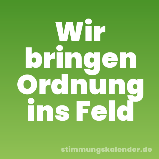 Wir bringen Ordnung ins Feld
