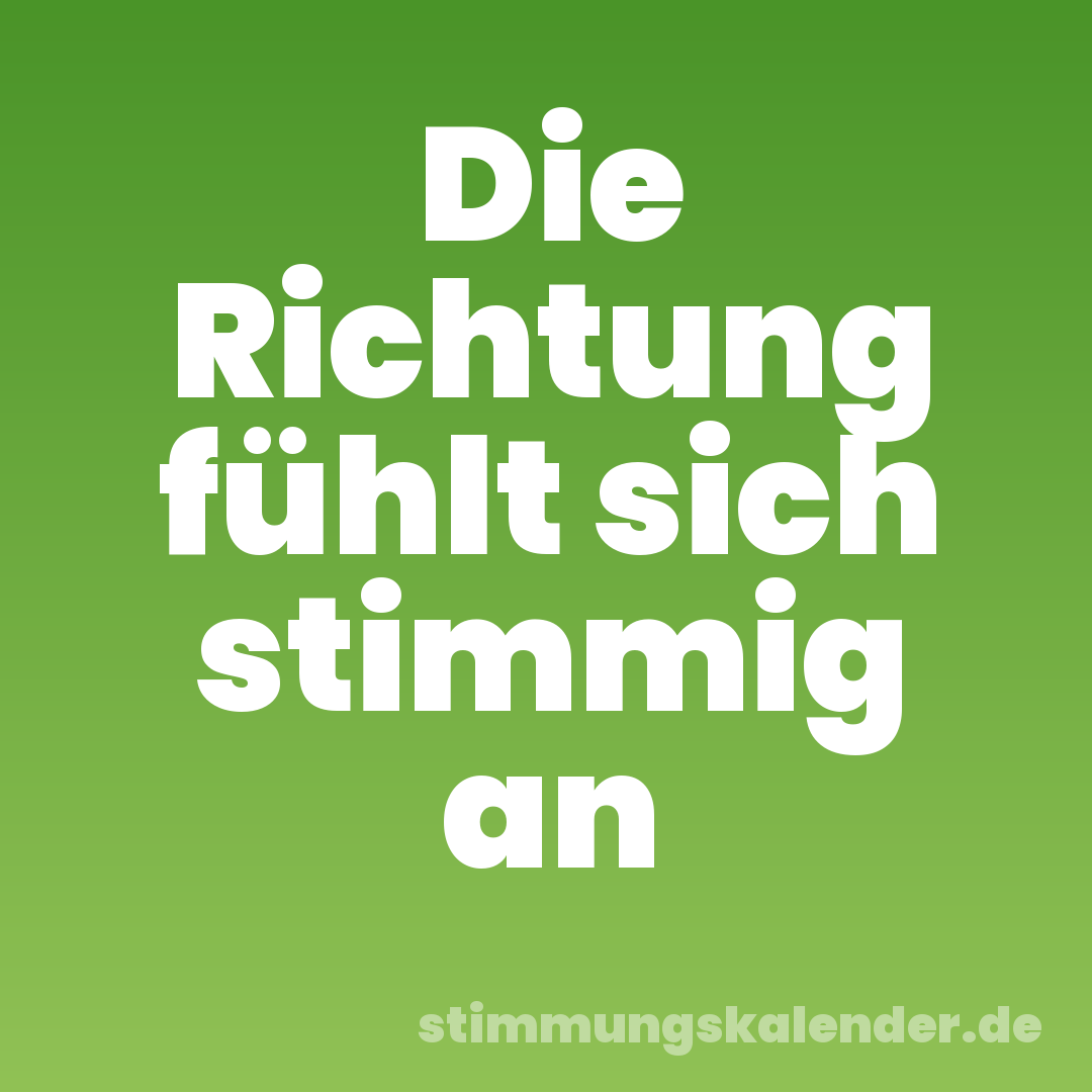 Die Richtung fühlt sich stimmig an