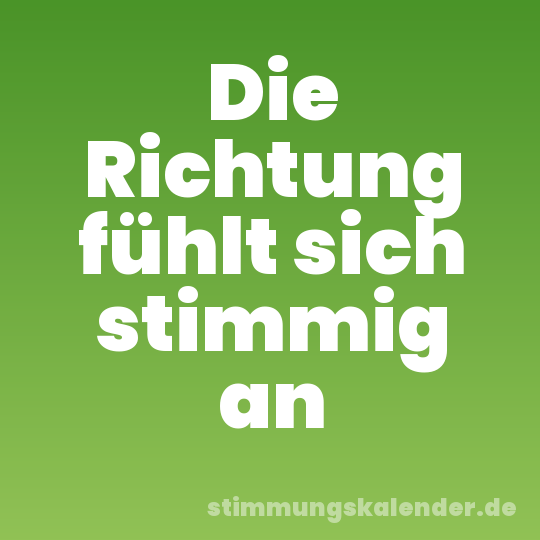 Die Richtung fühlt sich stimmig an