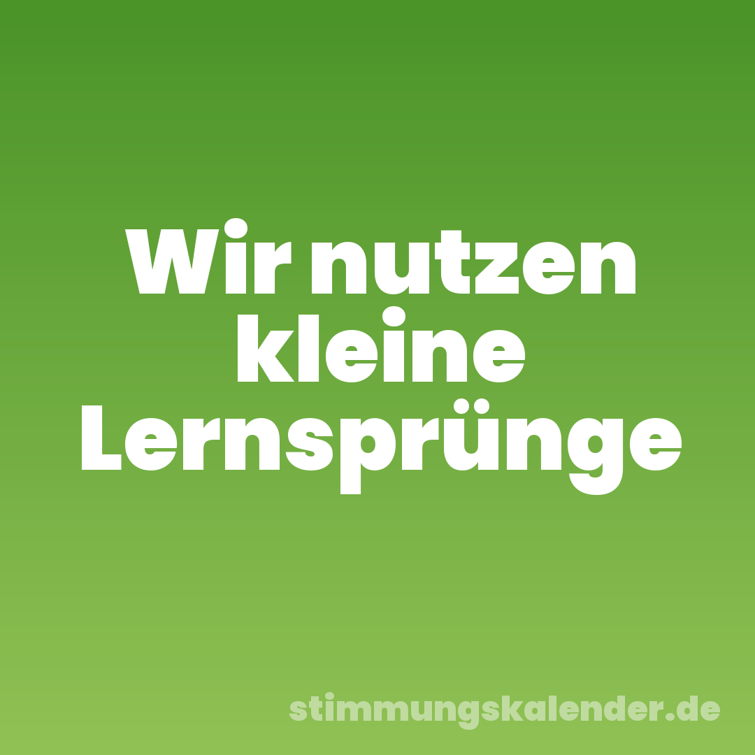 Wir nutzen kleine Lernsprünge