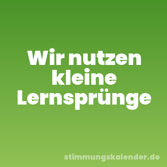 Wir nutzen kleine Lernsprünge