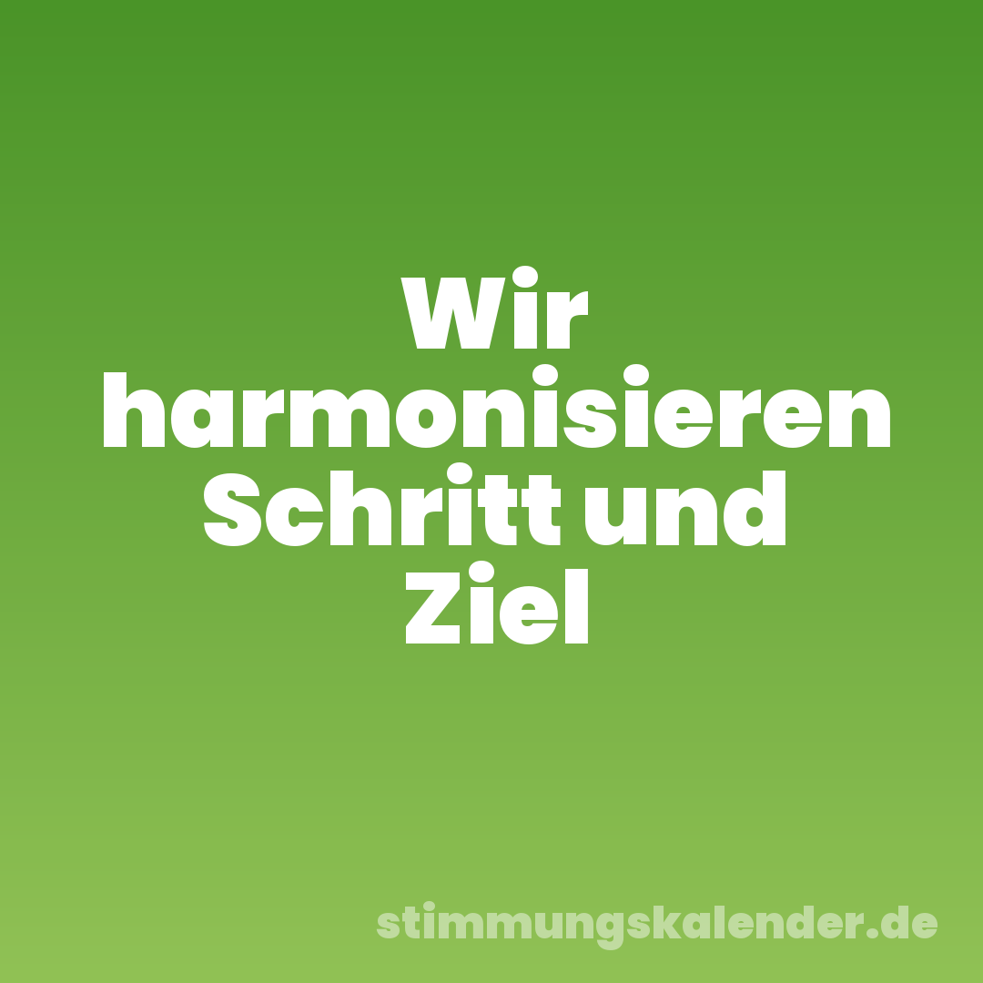 Wir harmonisieren Schritt und Ziel