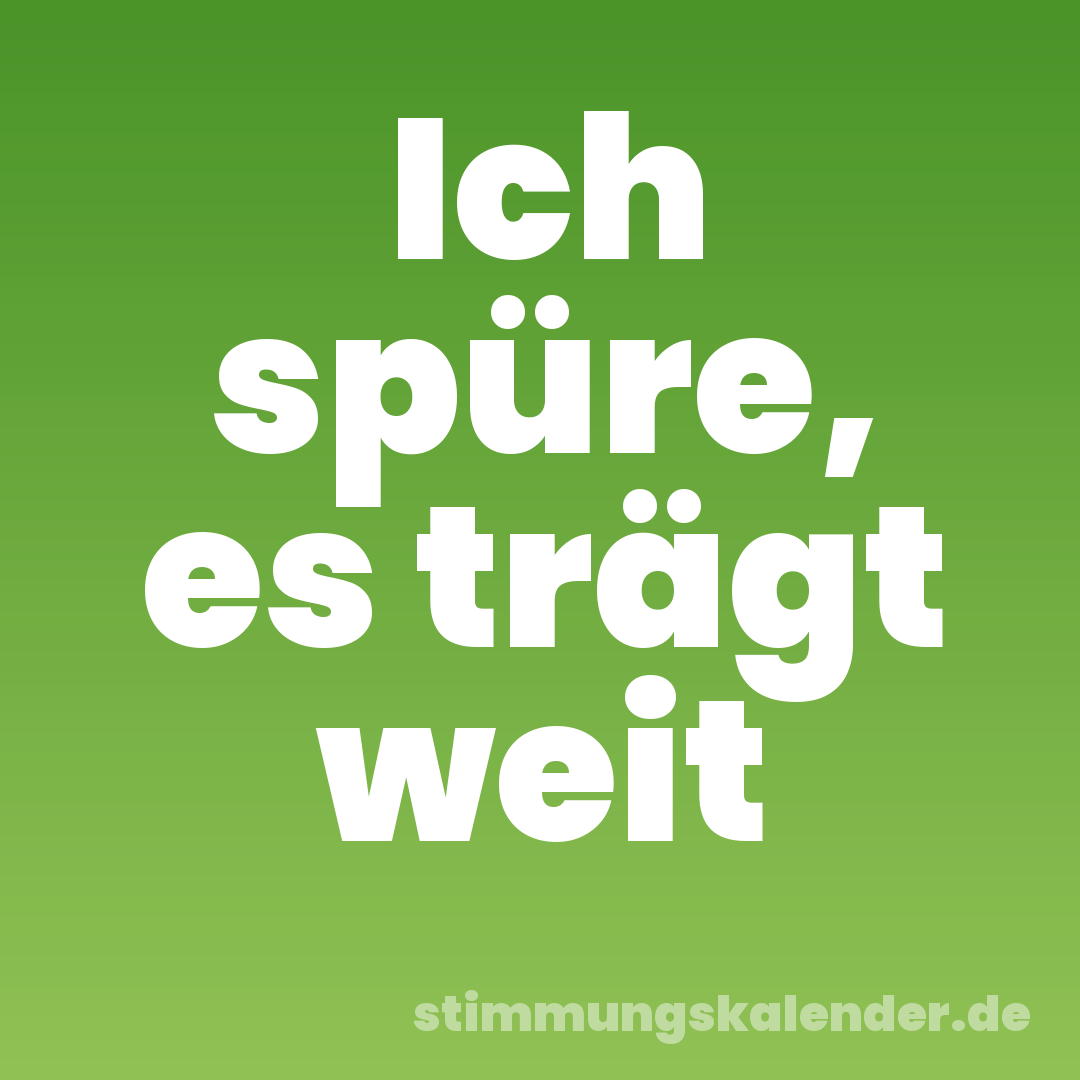 Ich spüre, es trägt weit