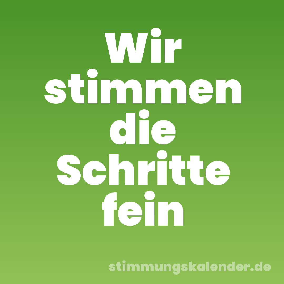 Wir stimmen die Schritte fein