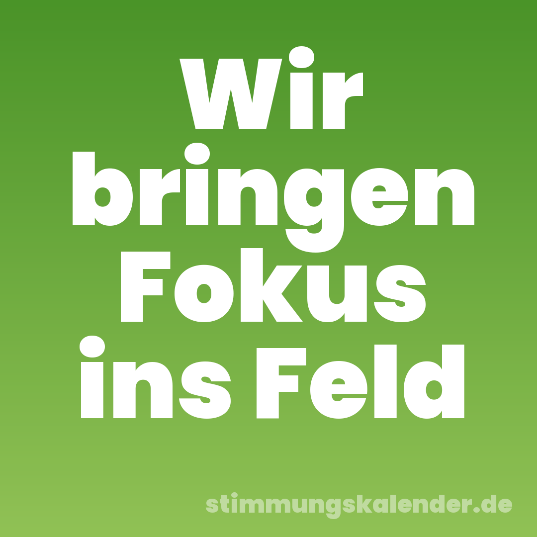 Wir bringen Fokus ins Feld
