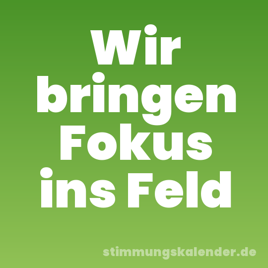 Wir bringen Fokus ins Feld