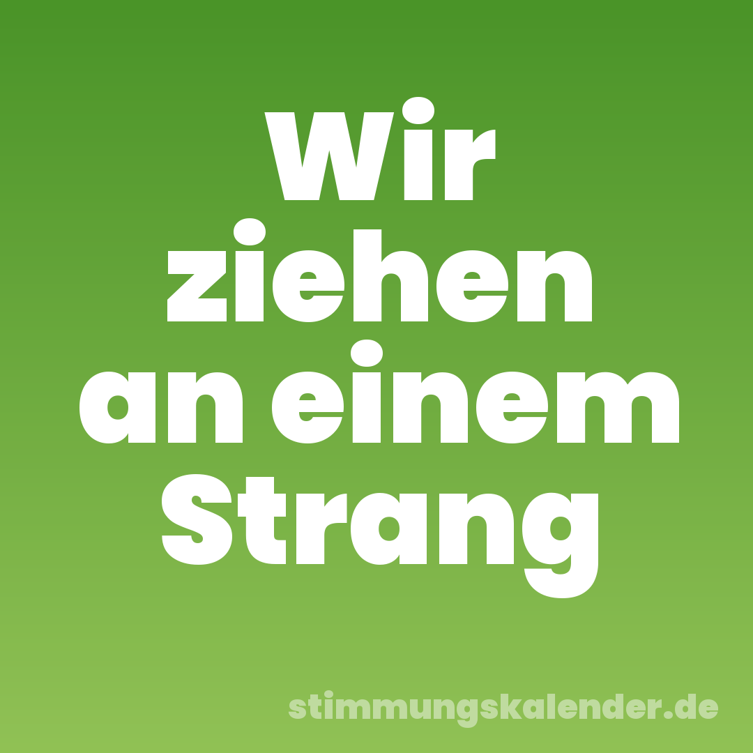 Wir ziehen an einem Strang