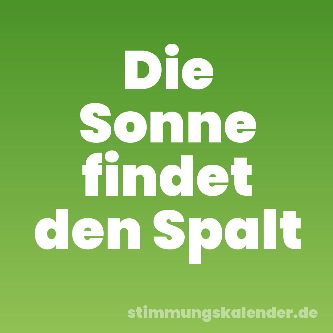 Die Sonne findet den Spalt