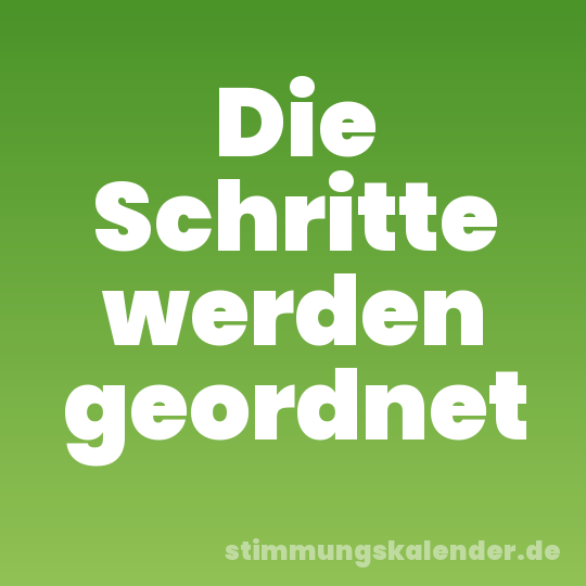 Die Schritte werden geordnet