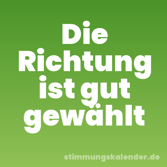 Die Richtung ist gut gewählt