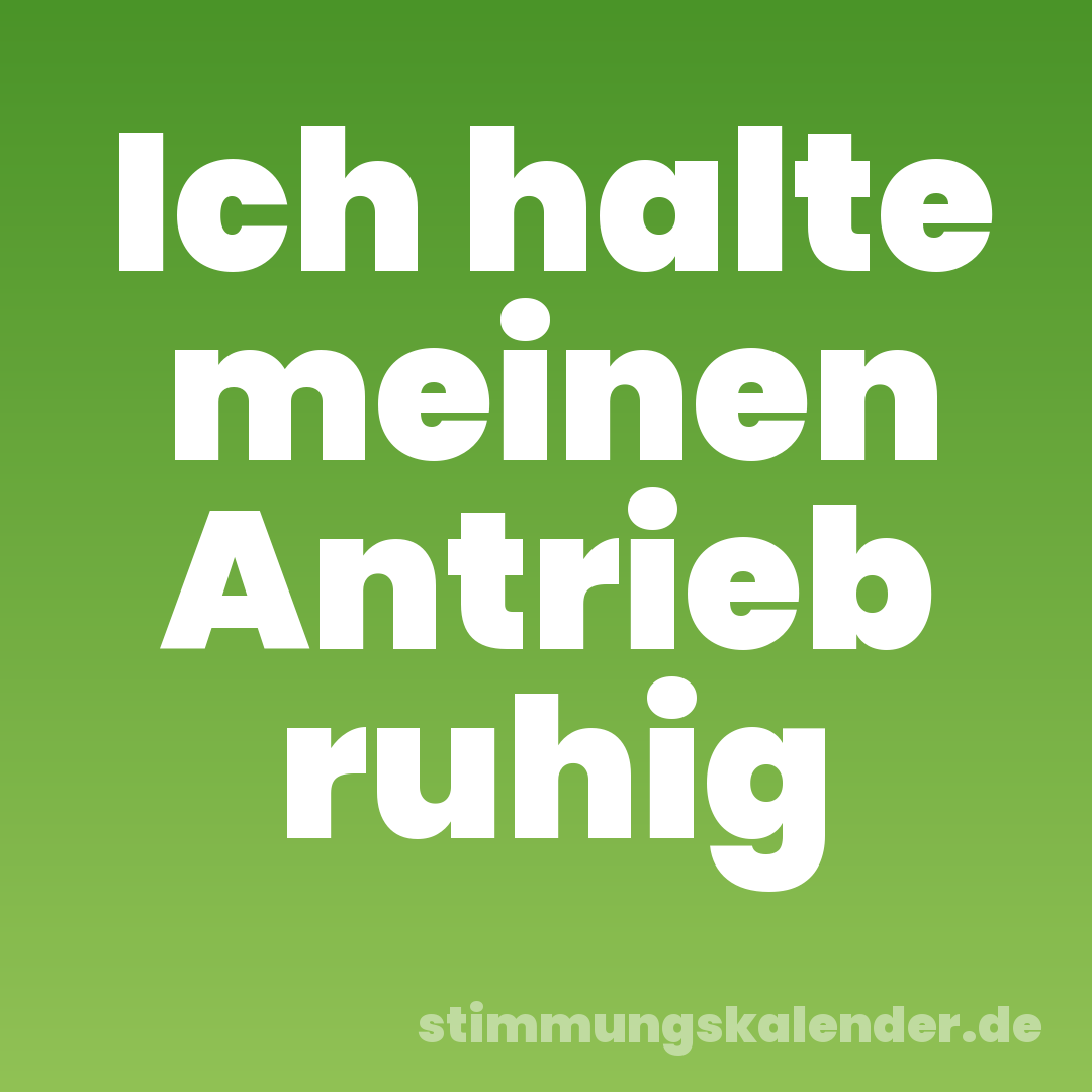 Ich halte meinen Antrieb ruhig