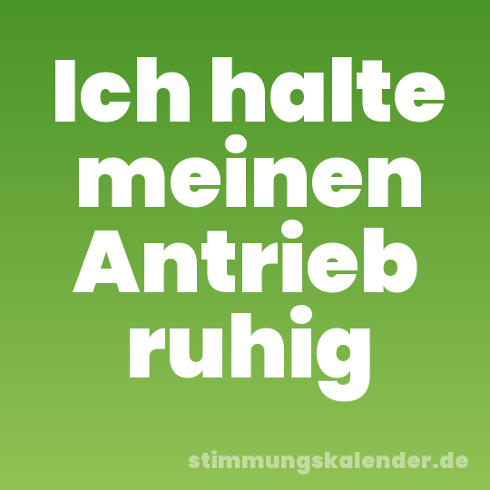 Ich halte meinen Antrieb ruhig