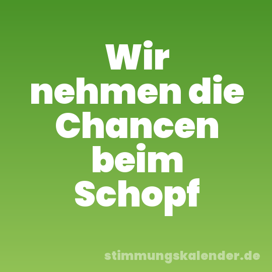 Wir nehmen die Chancen beim Schopf
