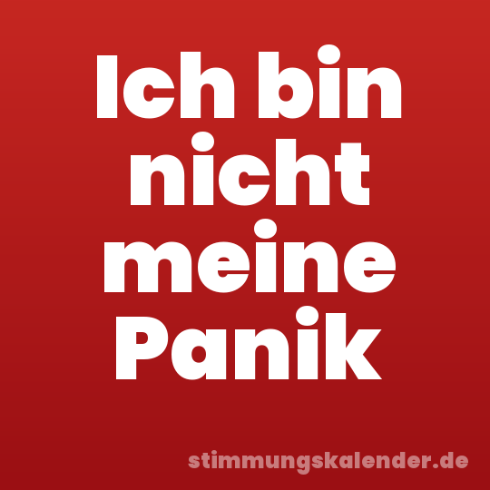 Ich bin nicht meine Panik