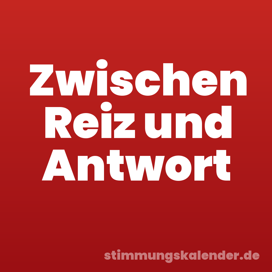 Zwischen Reiz und Antwort